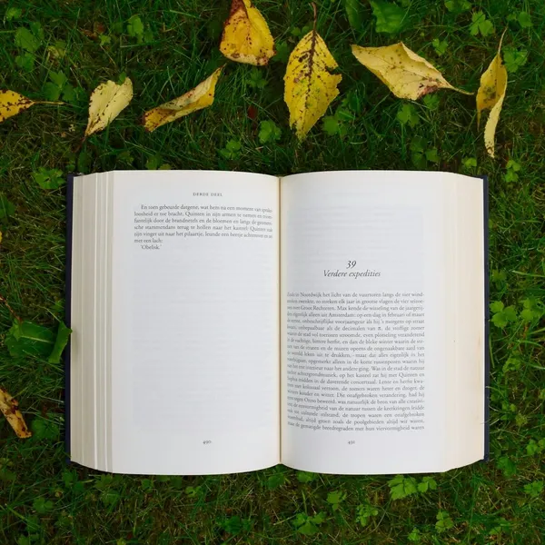 книга