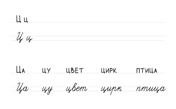 Буква Ц: печатная и прописная