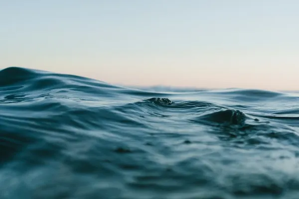 море